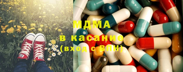 индика Архангельск