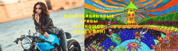 индика Архангельск