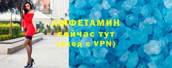 индика Архангельск