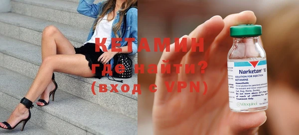 индика Архангельск