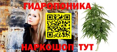 трава Аргун