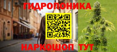 трава Аргун