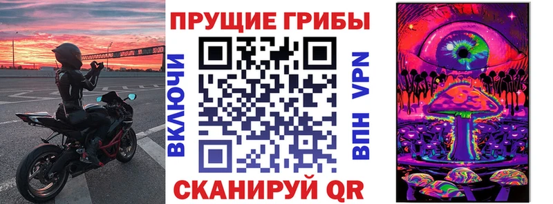Псилоцибиновые грибы MAGIC MUSHROOMS  кракен вход  Ахтубинск  где можно купить наркотик 