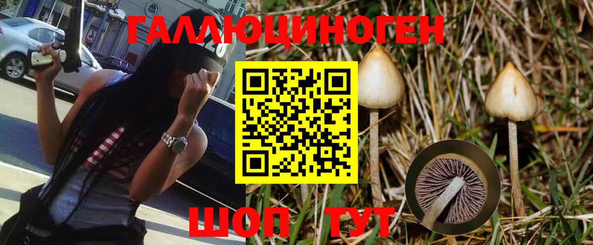 Псилоцибиновые грибы Cubensis Ахтубинск