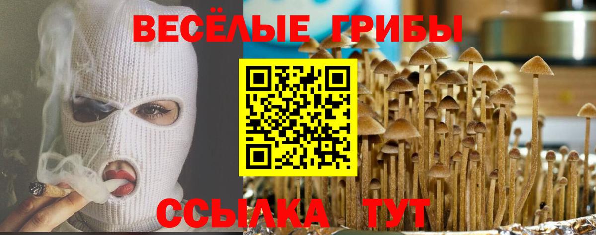 Галлюциногенные грибы Cubensis Ахтубинск