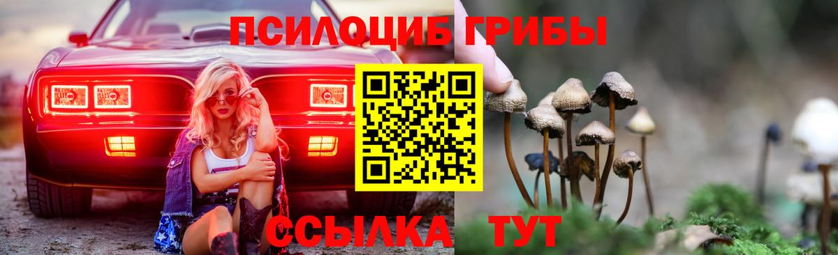 Галлюциногенные грибы Psilocybine cubensis  Ахтубинск 